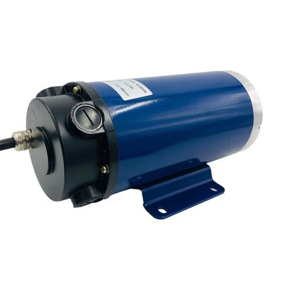 Motore del tapis roulant DC ad alta coppia 3000 giri al minuto Zyt 220V 110V 24V Magnete permanente Efficienza