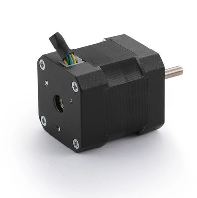 Commutazione senza spazzole 42 mm NEMA 17 Magnete permanente