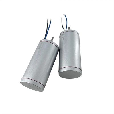 115V/230V Pmsm nominale 42bls Piccolo motore senza spazzole per veicoli elettrici pompa per tapis roulant