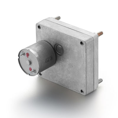 28mm 24v 7.73W Silver GEAR MOTOR High Torque Brush Gear DC Motor per la personalizzazione