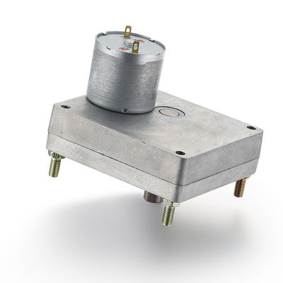 28mm 24v 7.73W Silver GEAR MOTOR High Torque Brush Gear DC Motor per la personalizzazione