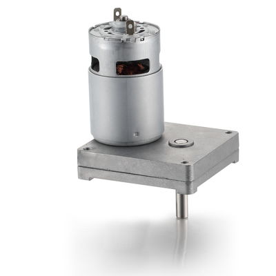 Argento 42mm High Torque Square Spur Gear DC Motor 12V 24V 21.1W Brushed DC Gear Motor