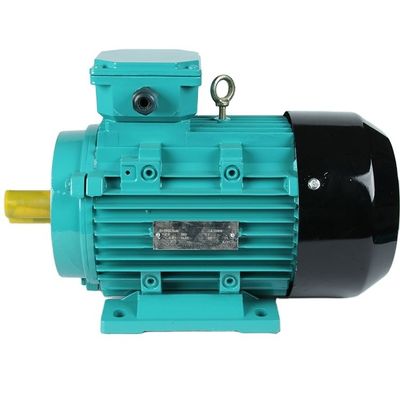 10 CV 20 CV 30 CV 380v 415v 440v Motore a induzione trifase CA con e 6,2A Voltaggio