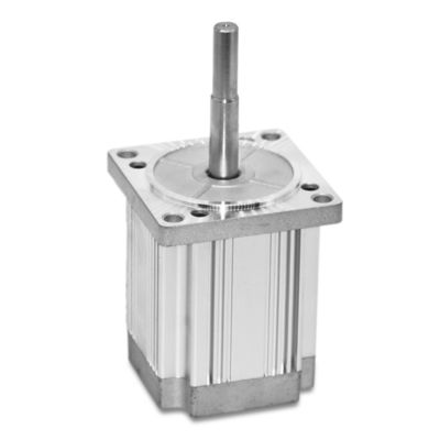 Motore senza spazzole da 80 mm 48v 440w per alta potenza ed efficienza in elettrodomestici robot