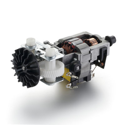 Motore elettrico ad alta coppia 830 giri al minuto 55mm 110v 220v 30W 50/60Hz AC per professionisti