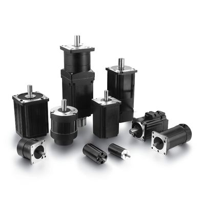 Voltaggio 12-48VDC Motore senza spazzola Specifica personalizzata 60mm Fino a 300W
