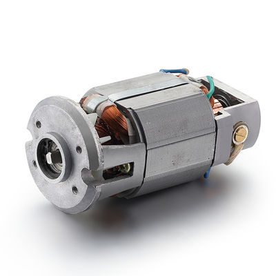 Potenza nominale AC 40w Motore universale sincrono per motore elettrico monofase 110v 220v