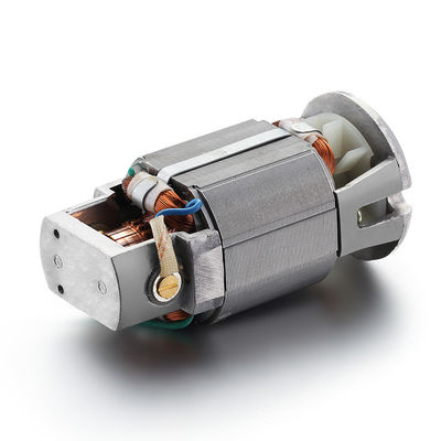 Potenza nominale AC 40w Motore universale sincrono per motore elettrico monofase 110v 220v