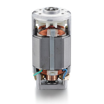 Potenza nominale AC 40w Motore universale sincrono per motore elettrico monofase 110v 220v
