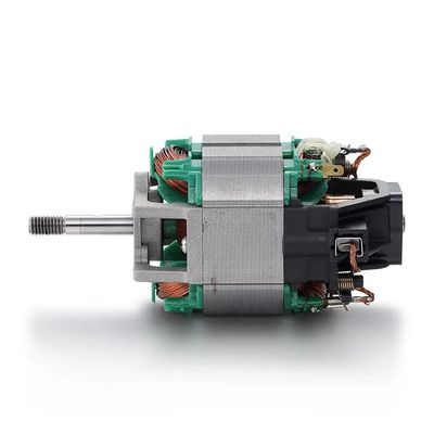 110V/220V 50/60Hz AC Motor Blender Professional 76mm Treadmill Motor con cuscinetto a sfera