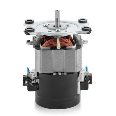 IE 1 Efficienza 110V 220V Motore AC per tapis roulant Motore AC monofase 50/60Hz