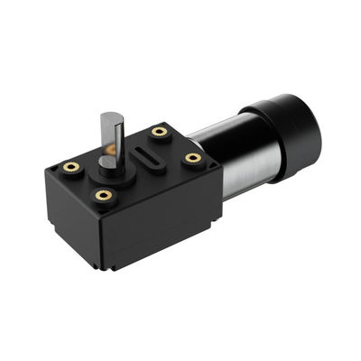 Motore elettrico a corrente continua 1 kg attrezzi da giardino con guscio di plastica 12 V motore a corrente continua a motore BLDC