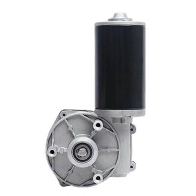 Potenza di uscita 10W motore a spazzola per auto elettriche professionale 30/45/65W motore CC