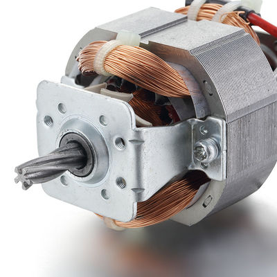 Velocità 54 mm diametro del motore Totalmente chiuso motore universale AC per tapis roulant 110v 220v