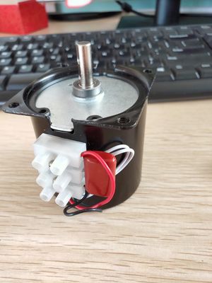 1 kg Capacità di carico 220V CW CCW AC Motore a ingranaggi sincroni con potenza di uscita 804w