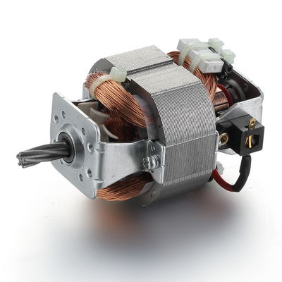 110V 120V 20W 54mm motore per tapis roulant ad alta velocità e motore AC universale monofase