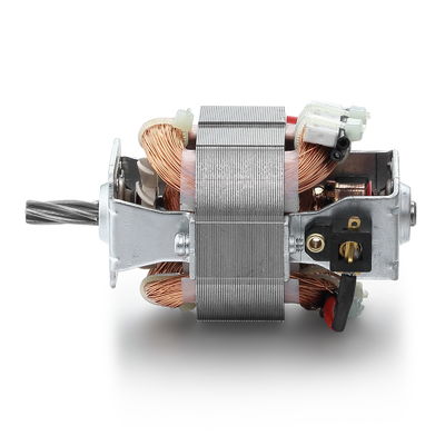 110V 120V 20W 54mm motore per tapis roulant ad alta velocità e motore AC universale monofase