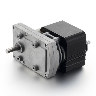 Motore AC asincrono per tapis roulant 20w 110V/220V a basso regime di rotazione a coppia elevata