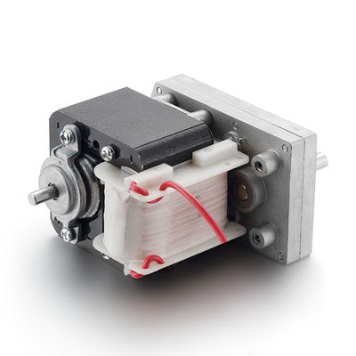 Motore AC asincrono per tapis roulant 20w 110V/220V a basso regime di rotazione a coppia elevata