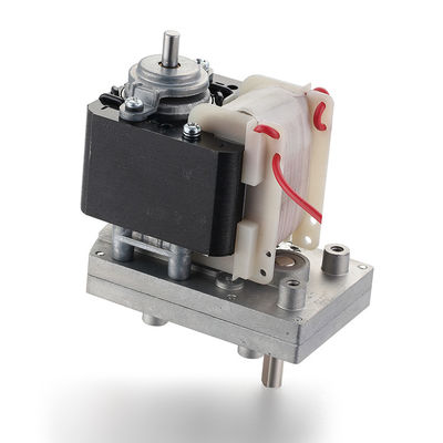 Motore AC asincrono per tapis roulant 20w 110V/220V a basso regime di rotazione a coppia elevata