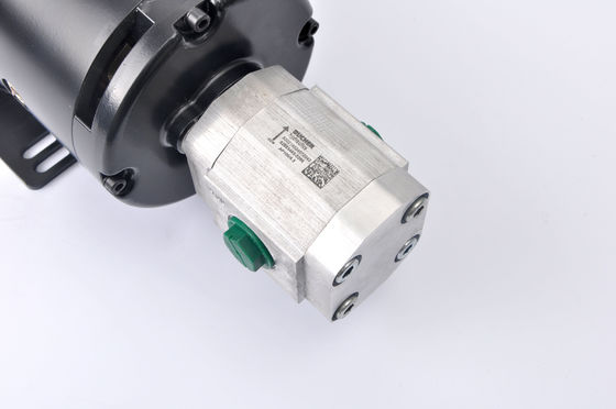 Strumenti da giardino 24V 4KW Motore elettrico a corrente continua a alta coppia ZD2973H con pompa di ingranaggi