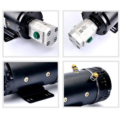 Strumenti da giardino 24V 4KW Motore elettrico a corrente continua a alta coppia ZD2973H con pompa di ingranaggi