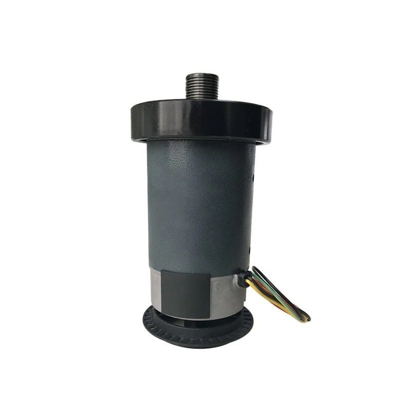 Magnete permanente 12v 60w 60rpm 6n.m Casella di marcia elettrica Motore a corrente continua per bicicletta elettrica