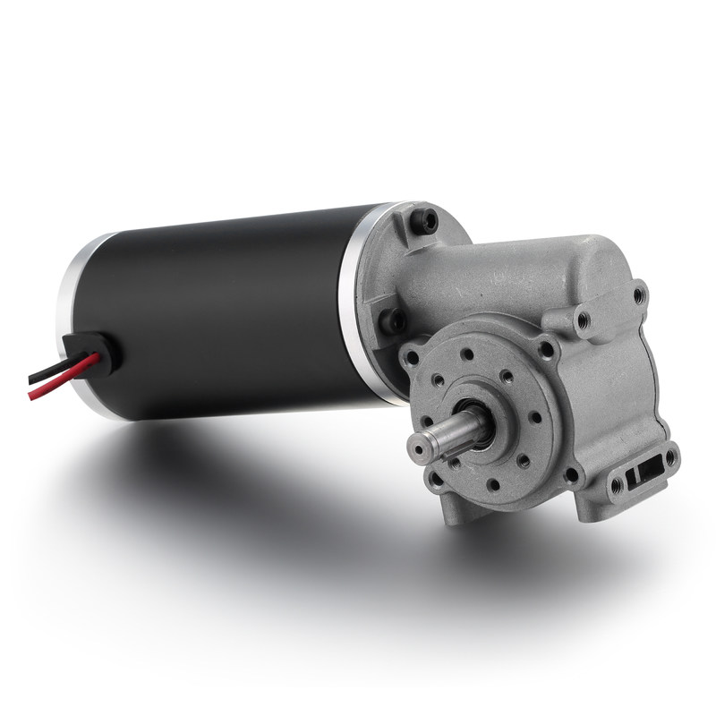 63mm D Aft 3300rpm Worm Gear Spazzolato Motore elettrico a corrente continua per Smart Home