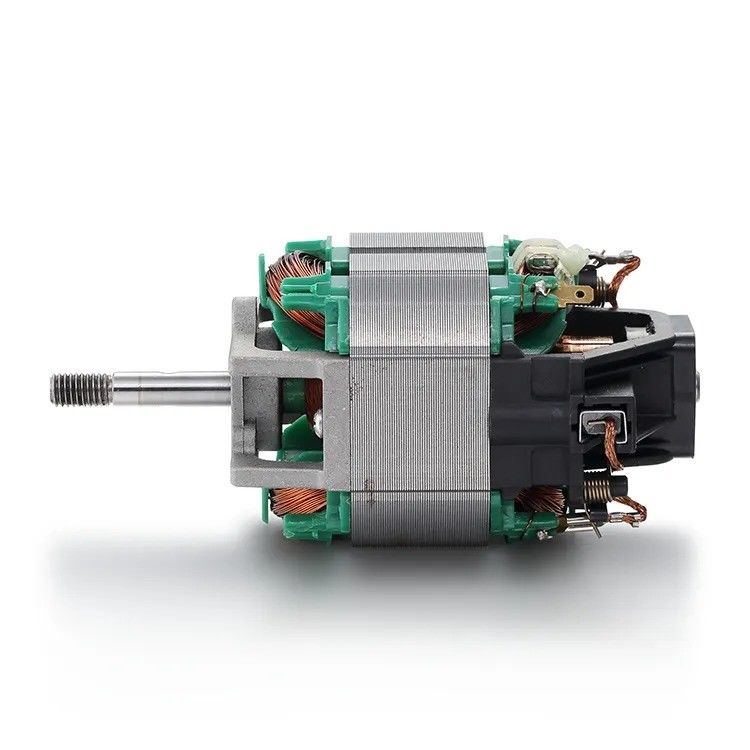 110V/220V 50/60Hz AC Motor Blender Professional 76mm Treadmill Motor con cuscinetto a sfera