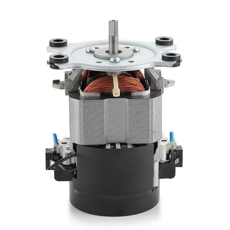 IE 1 Efficienza 110V 220V Motore AC per tapis roulant Motore AC monofase 50/60Hz