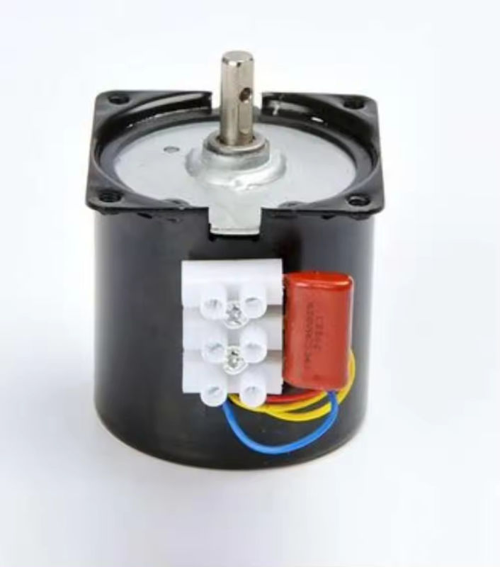 1 kg Capacità di carico 220V CW CCW AC Motore a ingranaggi sincroni con potenza di uscita 804w