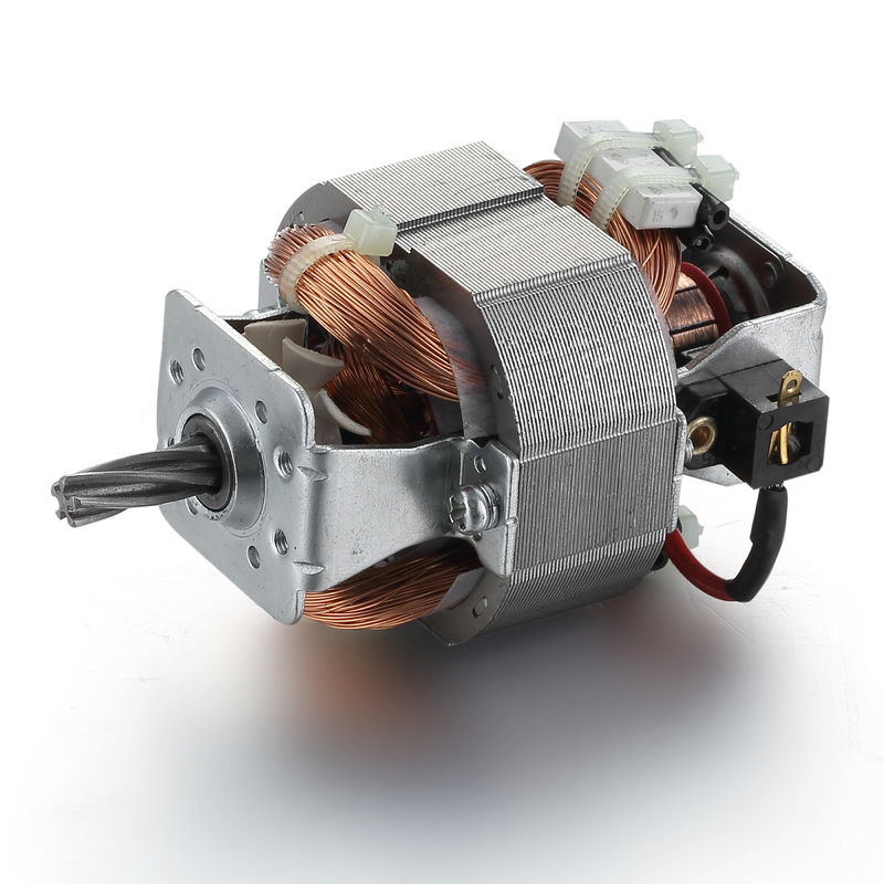 110V 120V 20W 54mm motore per tapis roulant ad alta velocità e motore AC universale monofase