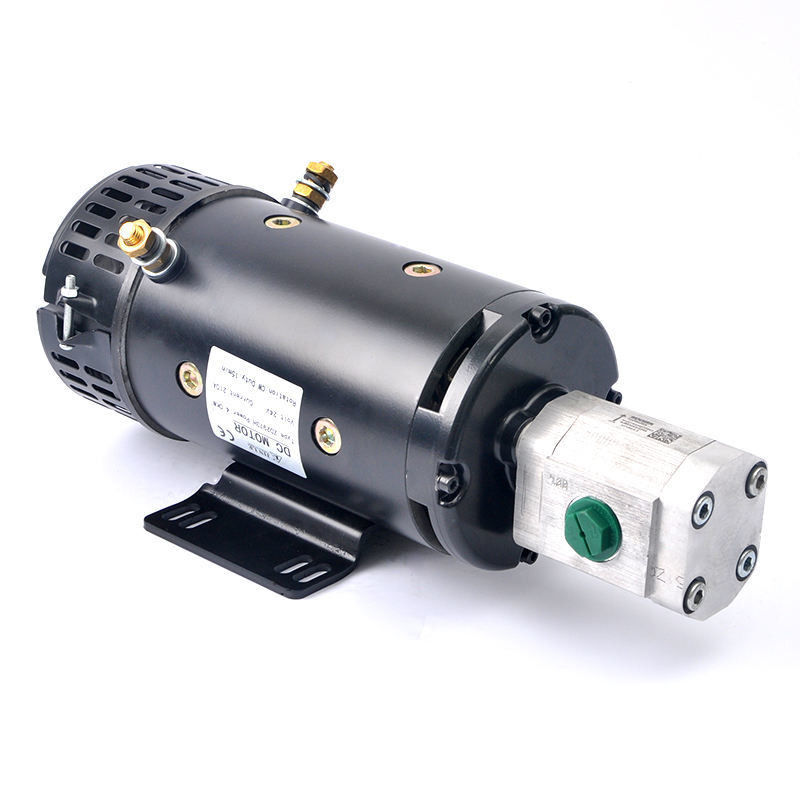 Strumenti da giardino 24V 4KW Motore elettrico a corrente continua a alta coppia ZD2973H con pompa di ingranaggi